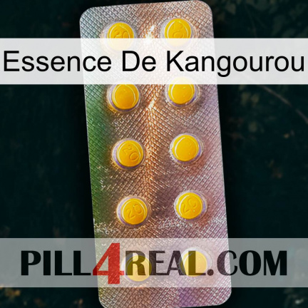 Kangaroo Essence new11